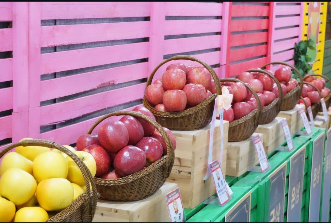 문경사과축제-감홍사과