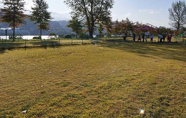 파크골프 지도자 자격증