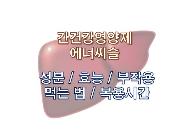 간영양제 에네씨슬 성분 효능 부작용 먹는 법 복용시간 정보 글 사진