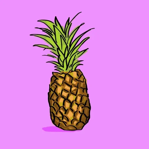 파인애플 (Pineapple)