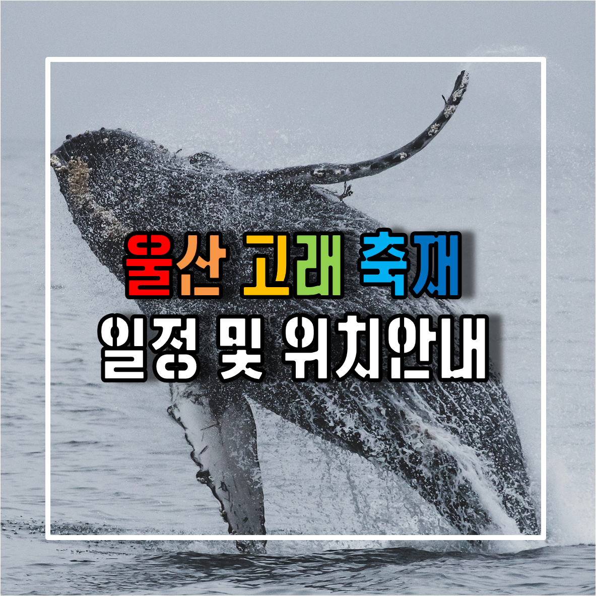 울산 고래 축제