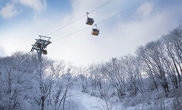 2025/2026 휘닉스파크 평창 스키장 시즌패스 완벽 가이드