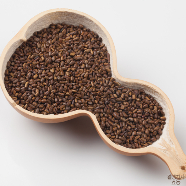 결명자차 효능 부작용 알고 드세요!