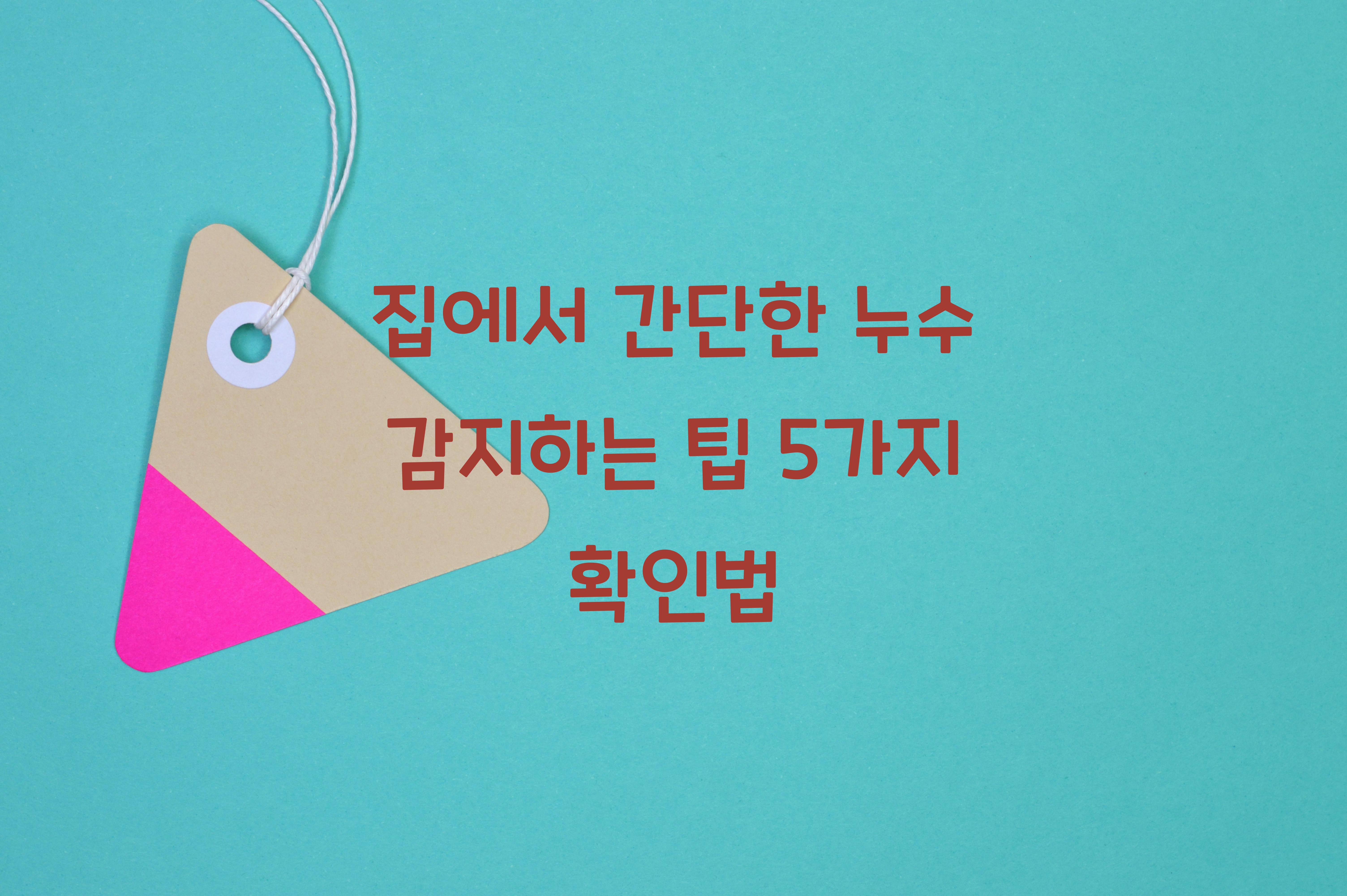 집에서 간단한 누수 감지하는 팁