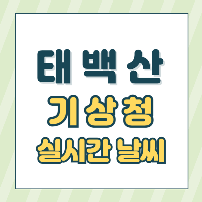 태백산날씨썸네일