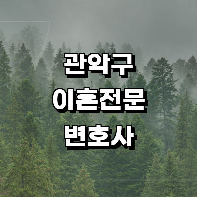 서울 관악구 이혼 변호사