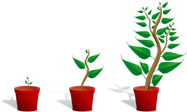 나를-한-뼘-성장시키는-하루