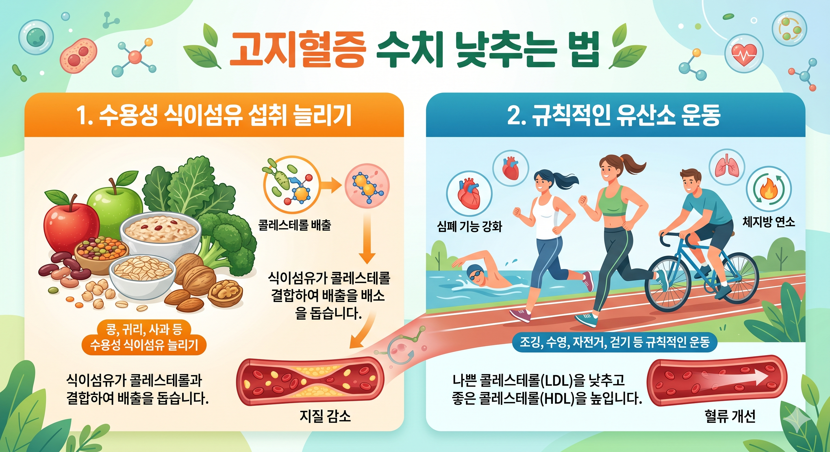 고지혈증 수치 낮추려면 건강식 섭취와 유산소 운동이 필수