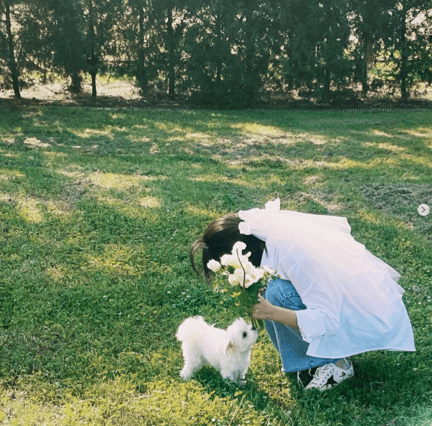 하니 인스타그램 결혼 발표