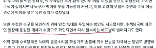 대전 오월드 늑대 늑구 탈출 원인 암컷 드론 생포