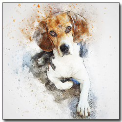 앉아있는 비글 그림