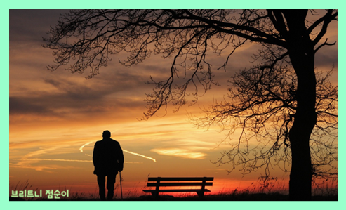 치매 초기증상 8가지 치매 초기증상자가진단법