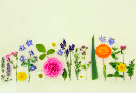 봄 컬러 트렌드