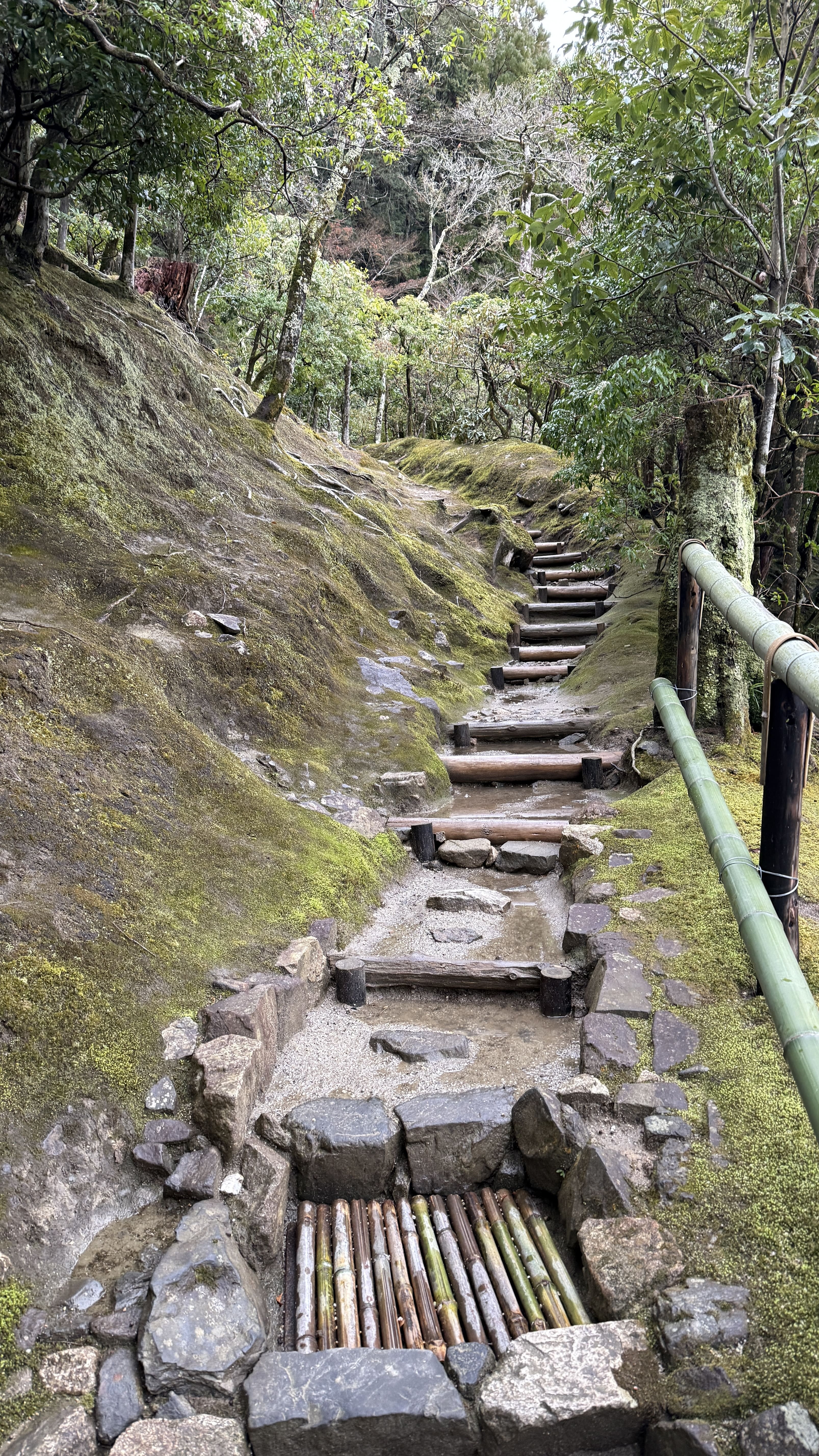 교토-꼭-가봐야-할-곳-교토-은각사-긴카쿠지-조용한-산책-코스-추천