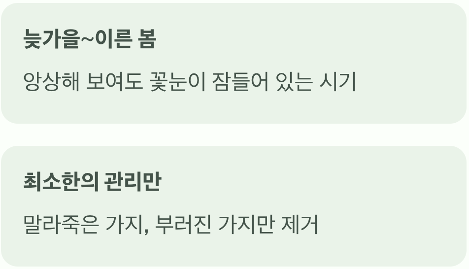 겨울과 봄, '절대 가위를 들지 마세요'
