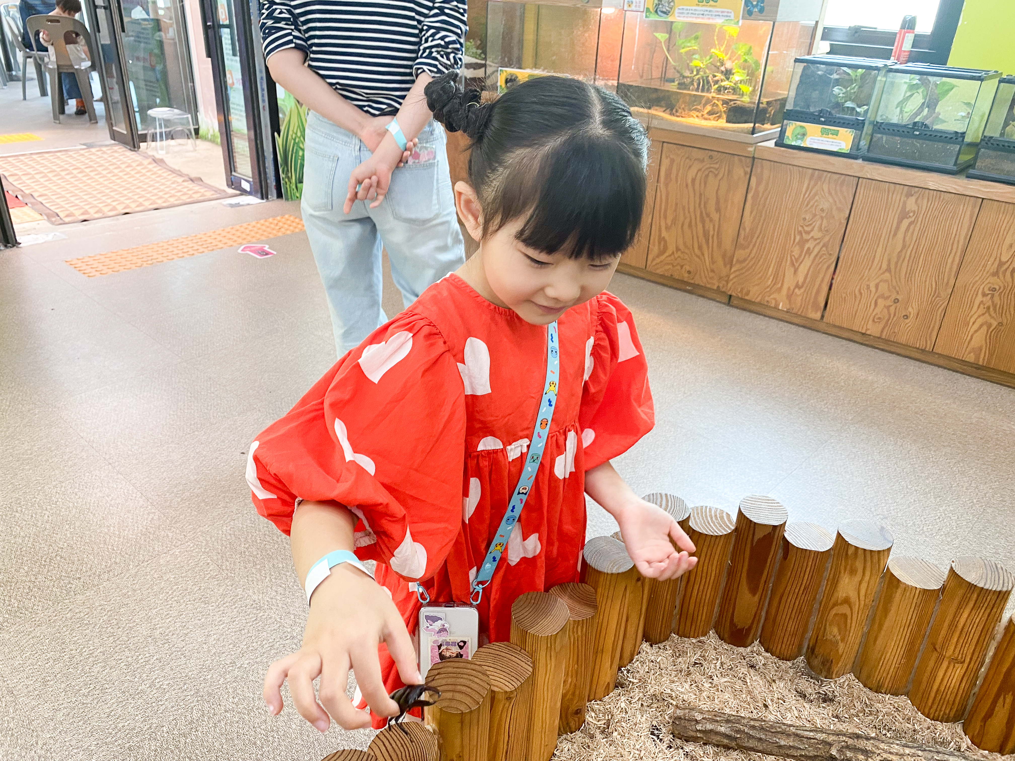 사슴벌레를 만져보고 즐거워하는 샛별