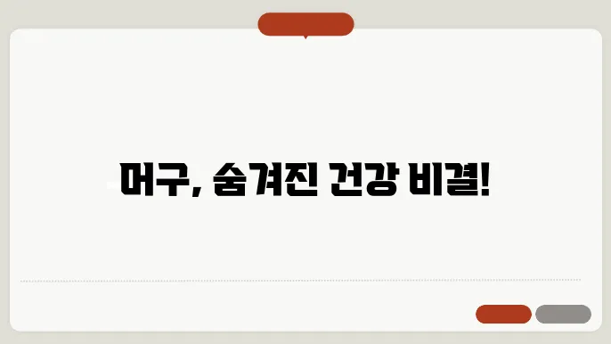머구 효능