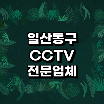 고양 일산동구 cctv