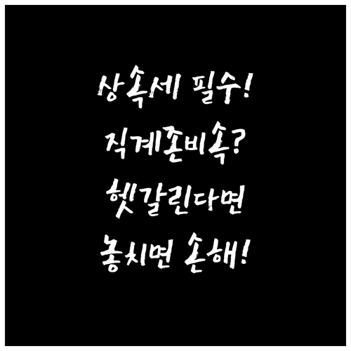 세금 및 상속의 핵심 직계존비속 헷갈..