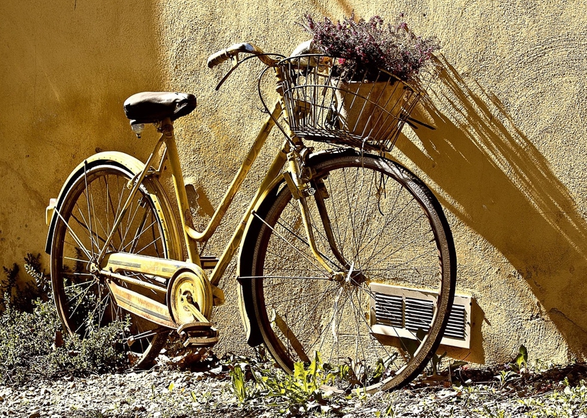 생활 기반 다시 세우기