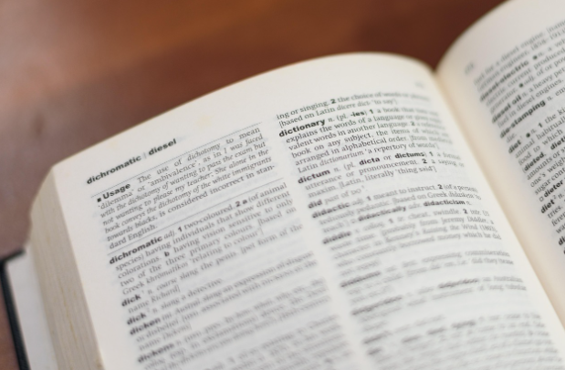 사전 속 정의를 통해 개념과 정의의 차이를 설명하는 이미지