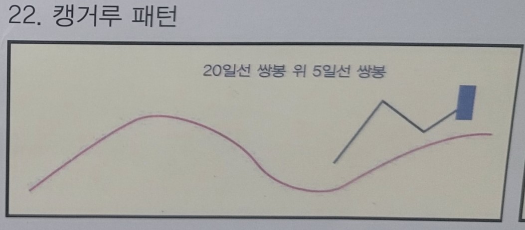 22. 캥거루 패턴 설명을 위한 도식화