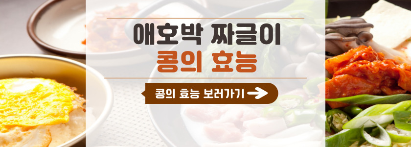 콩의 효능