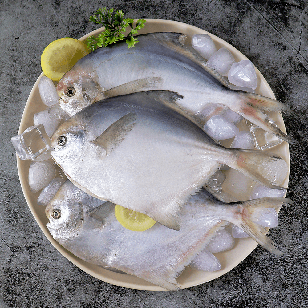 [6월 제철 수산물] 병어