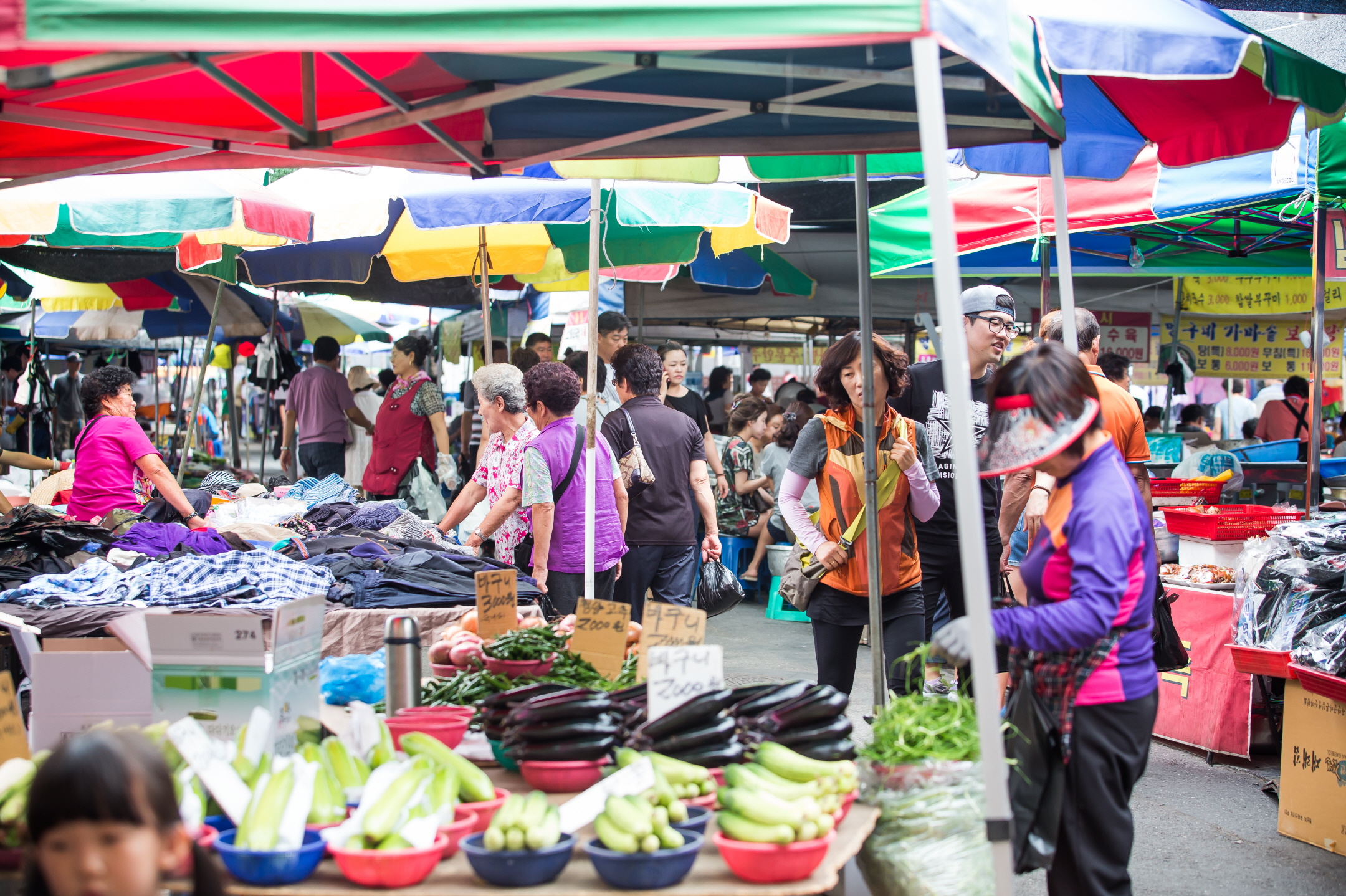 양평 5일장 장날 일정