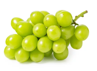 강아지와 포도 / 출처:어도비스톡