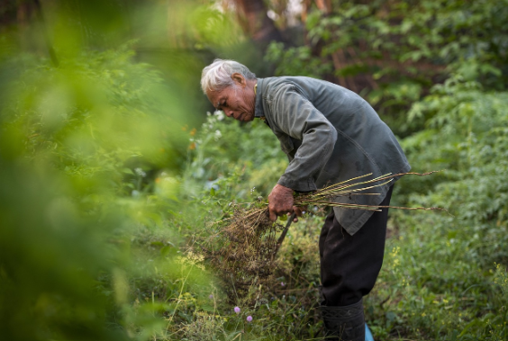2025년 농민수당 총정리: 지급 대상, 금액, 신청 방법까지