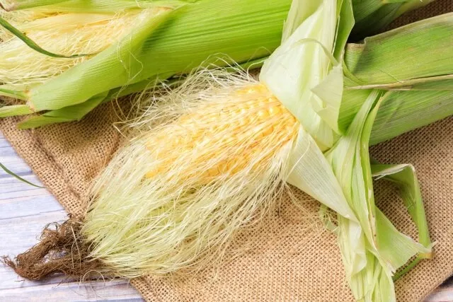 소변이 불편할때 좋은 옥수수수염차