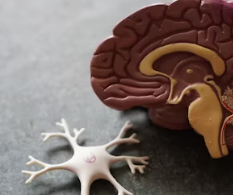 수면 부족이 우리 몸에 미치는 영향 경고 증상 치매