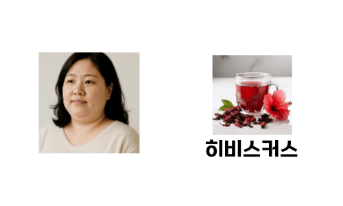 히비스커스