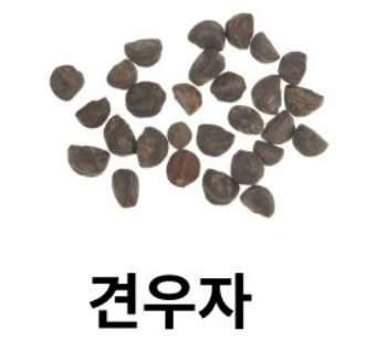 모티리톤정 성분