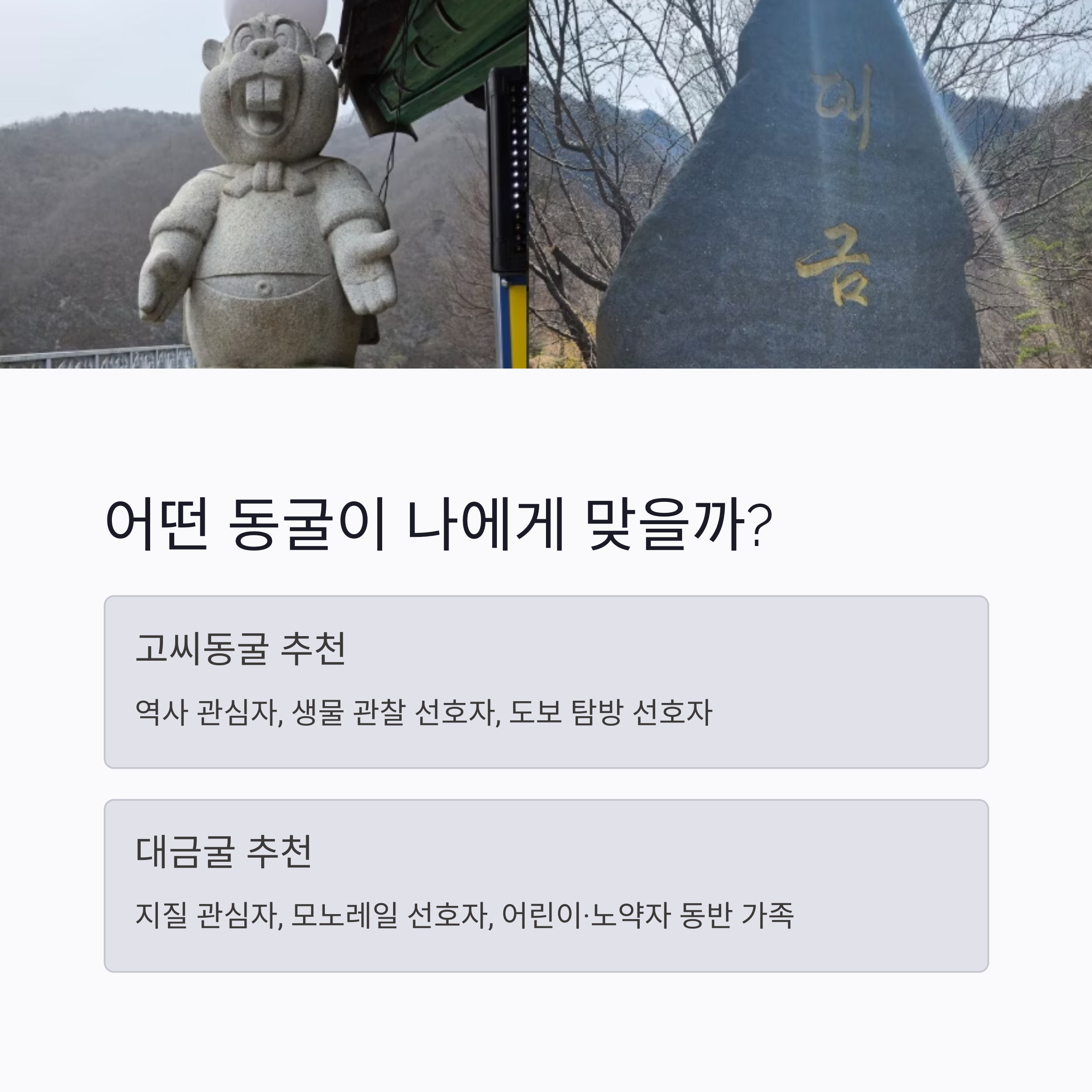 어떤 동굴이 나에게 맞을까?
