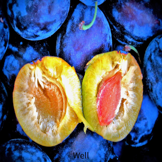 카카두플럼 기미크림