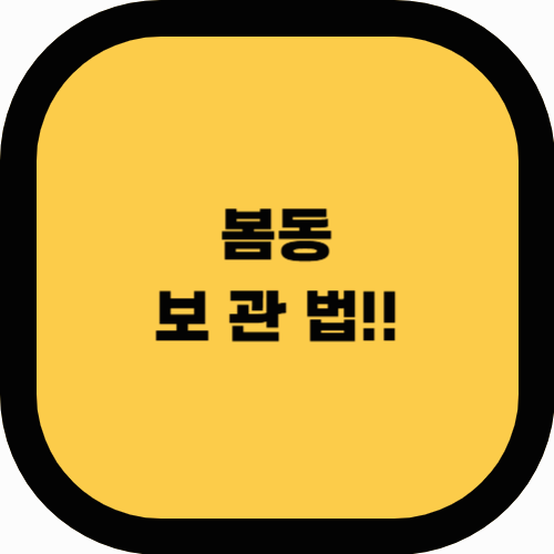 📌 봄동 보관법 &amp; 오래 신선하게 먹는 법 (냉장, 냉동 보관 꿀팁!)