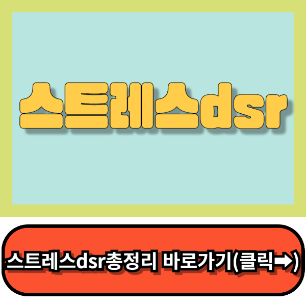 스트레스dsr총정리