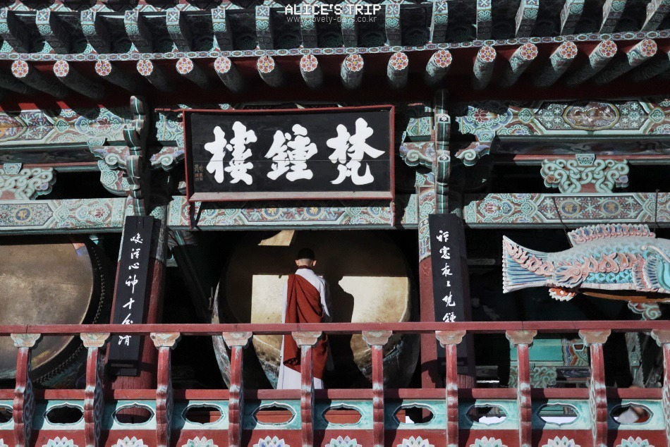 부산 근교 가볼만한곳 당일치기 나들이 BEST10 (기장 포함)