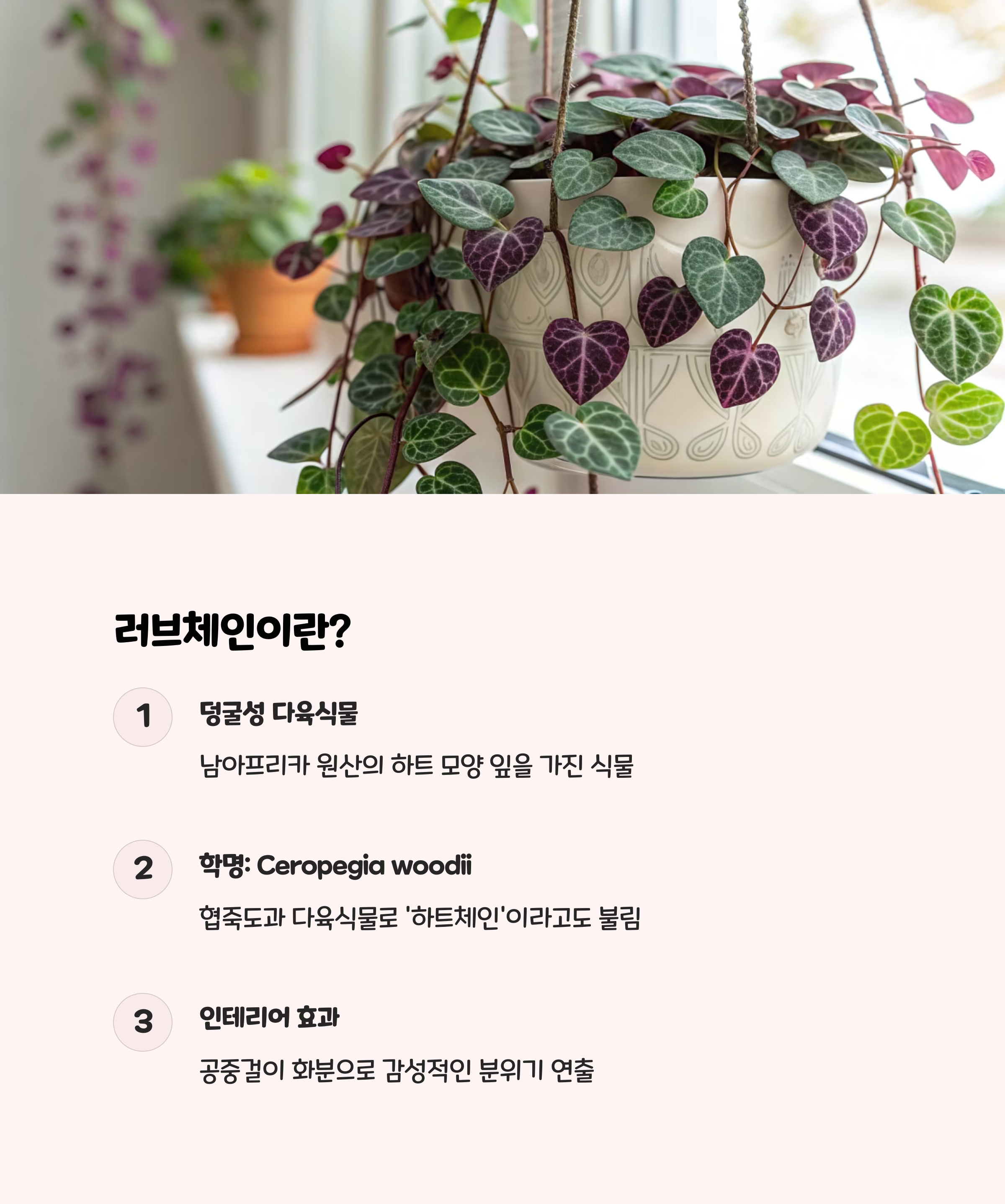 러브체인