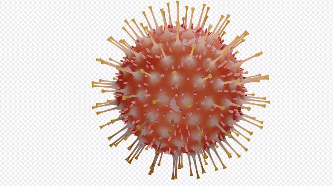 바이러스와 세균