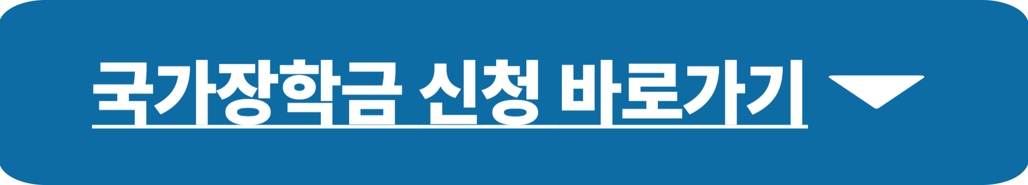 국가장학금 신청