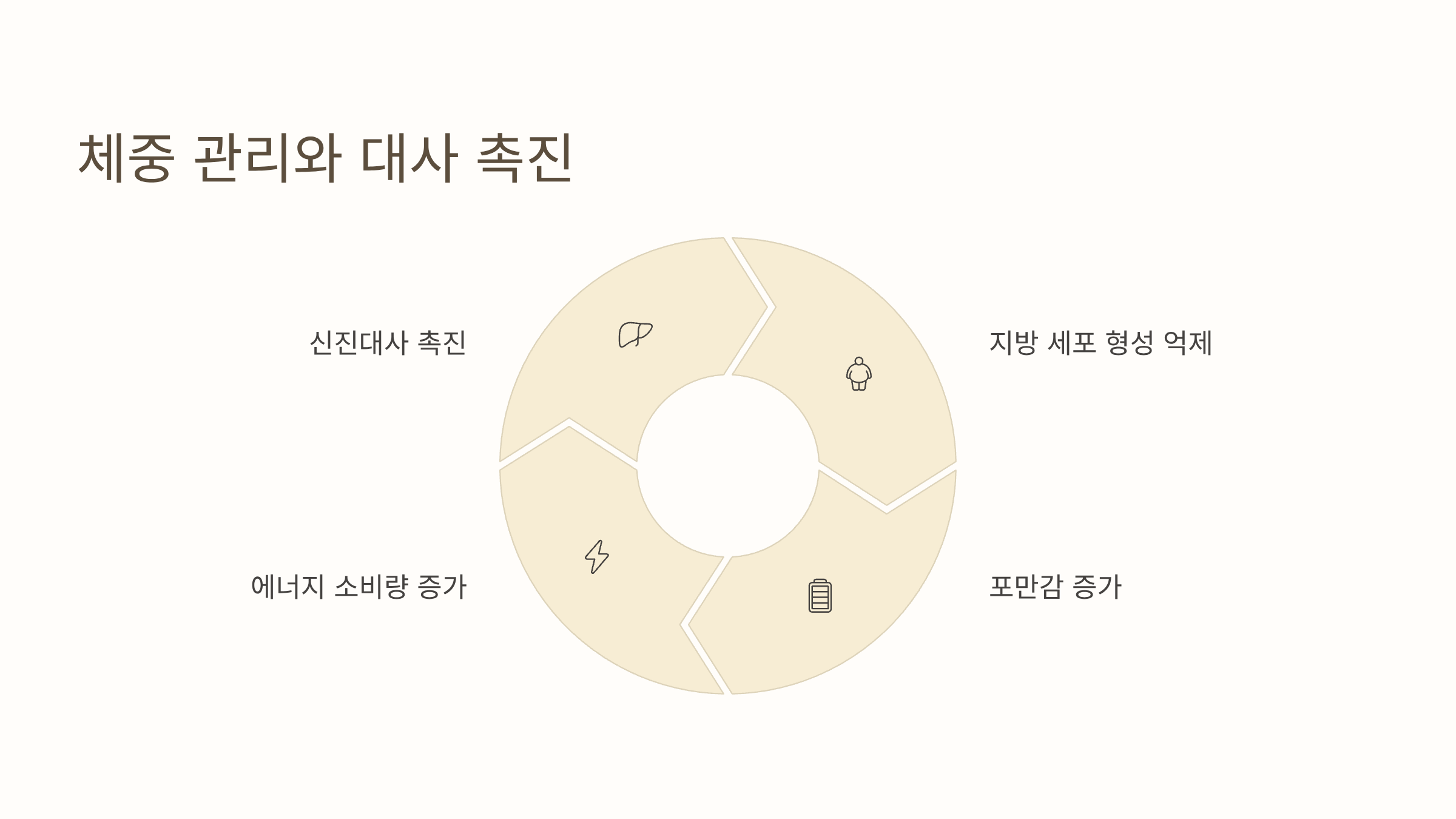 파비플로라 사진입니다.