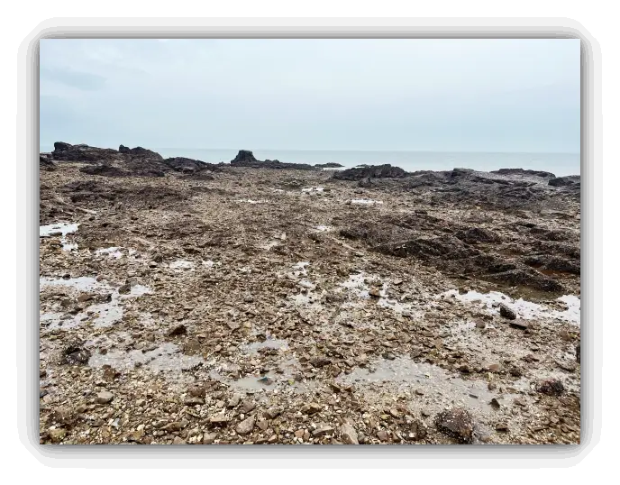 제부도갯벌-자갈-파란하늘