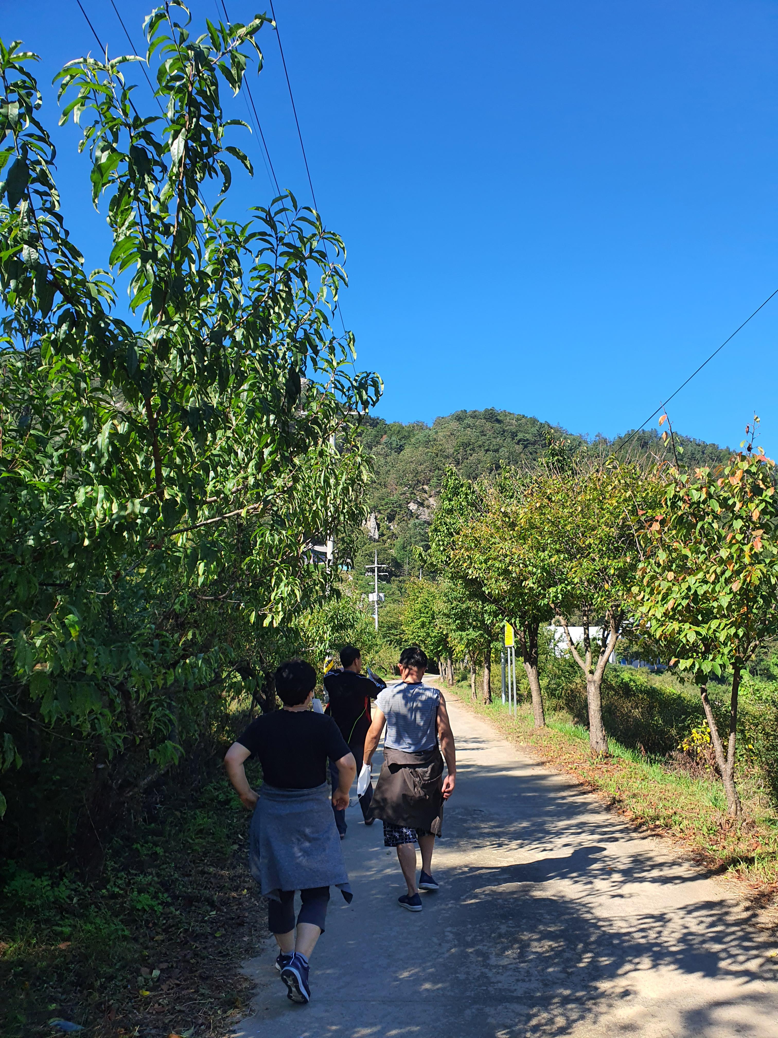 홍천보리울캠핑장