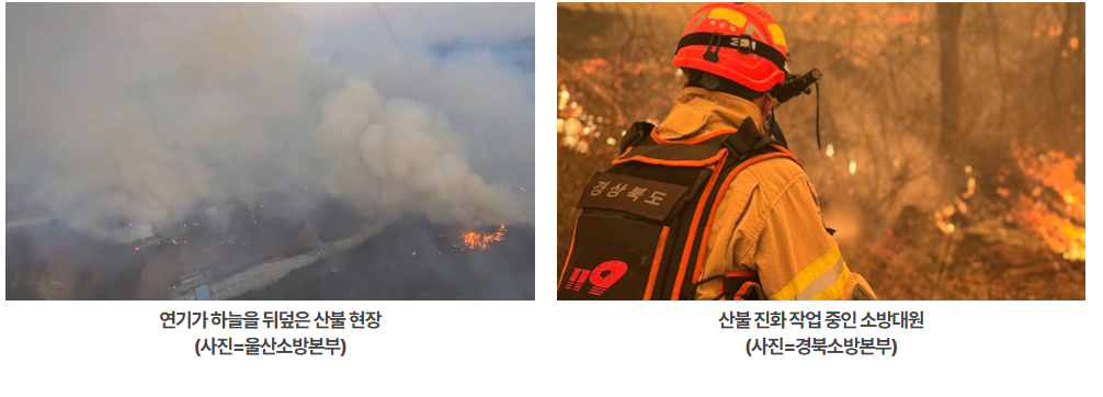 산불원인