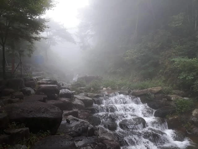 계수일간 계해일주의 성격