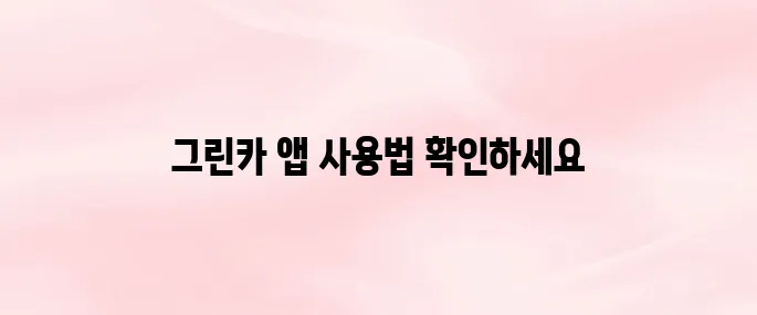 그린카 앱 다운로드 및 가입 방법｜렌터카 예약부터 이용까지 정리