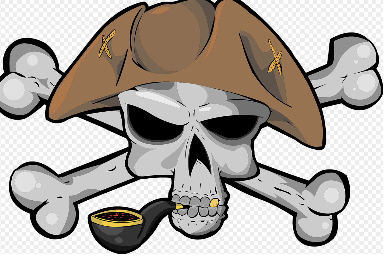 광대뼈 나온 해골